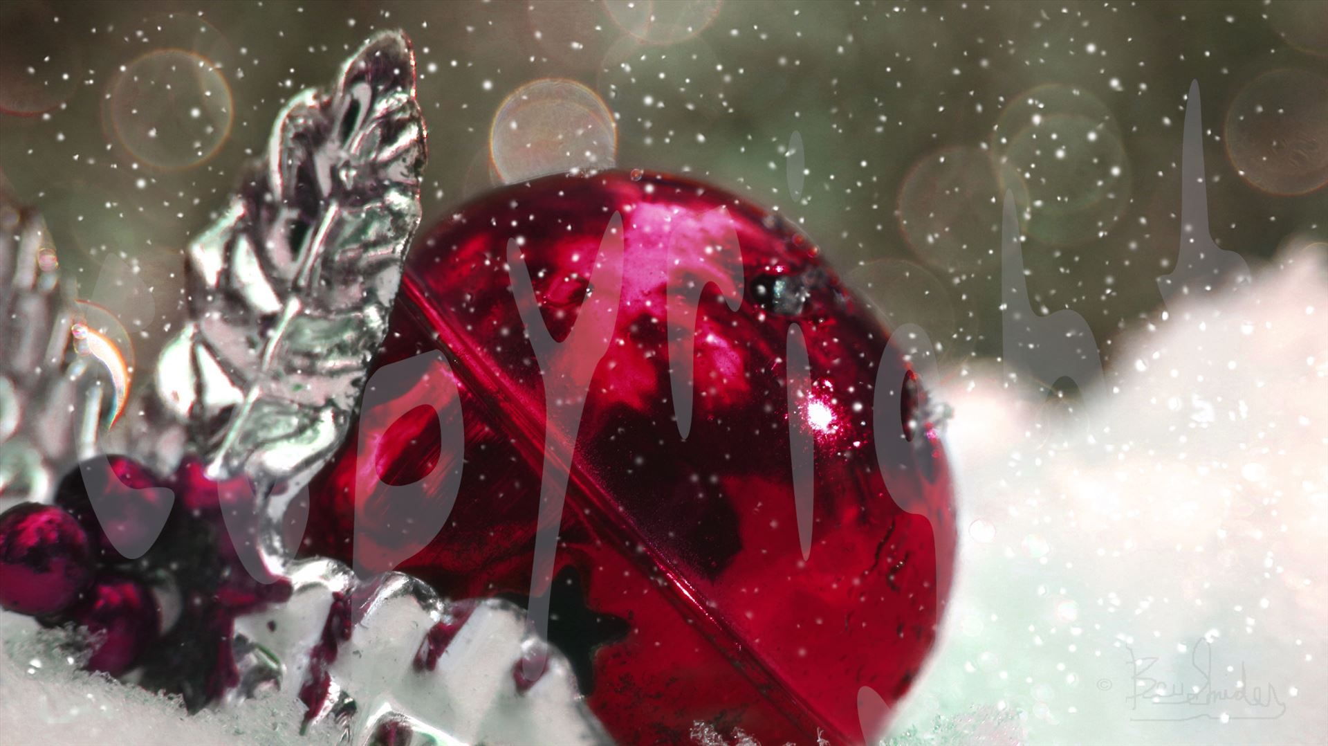 Fuschia Christmas Ball 6657 - Fuschia Christmas Ball in the snow with bokeh background by Snookies Place of Wildlife and Nature