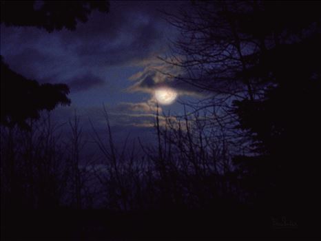 Preview of Moonlight Shining Through Clouds  SDC198233